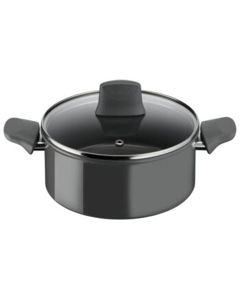Tefal Renewal ø20 Gryde