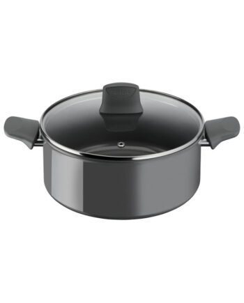 Tefal Renewal ø24 Gryde